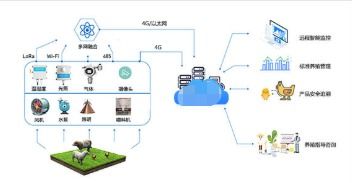 智慧畜牧定位溯源系统软件设计开发